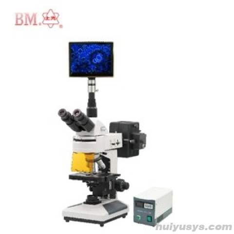 上海彼爱姆 XSP-BM-13CYIIIP 三目落射荧光显微镜