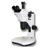 凤凰光学 SMZ190-LT 体视显微镜