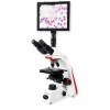 凤凰光学 BMC100-PB-AN 生物显微镜