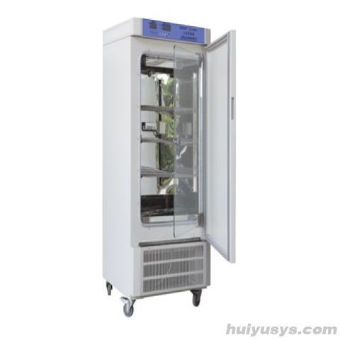 上海新苗霉菌培养箱MJ-160BSH-Ⅱ