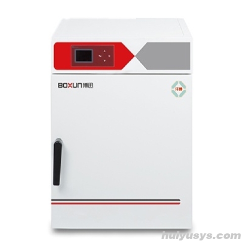 上海博迅电热鼓风干燥箱 BXH-65