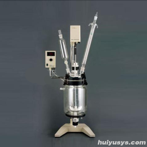 上海亚荣真空反应器RV-605