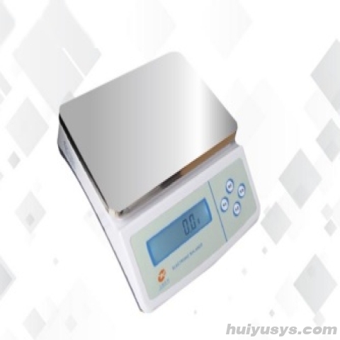 上海佑科电子天平YP30000