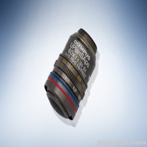 奥林巴斯复消色差硅油镜UPLSAPO 60XS2