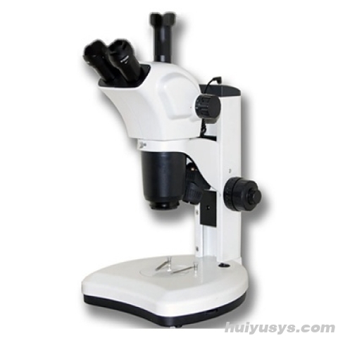 凤凰光学 SMZ190-LT 体视显微镜