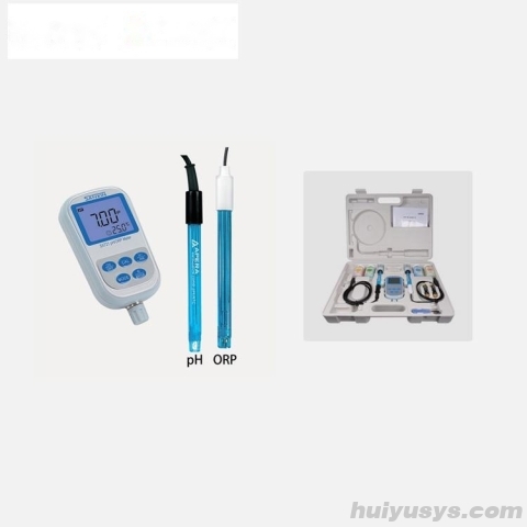 上海三信便携式双参数测量仪PH/ORP SX721