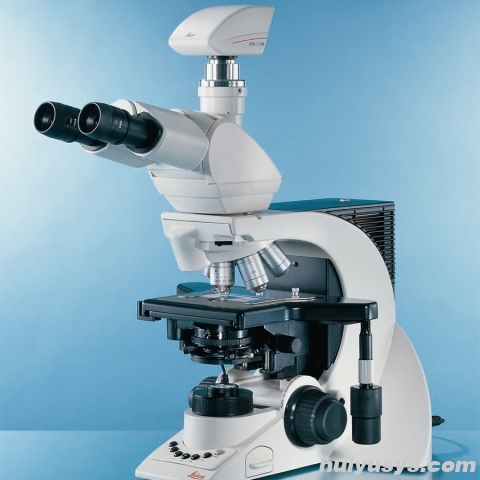 徕卡生物显微镜DM3000