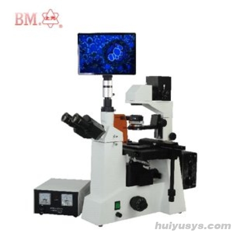 上海彼爱姆 BM-38XP 三目倒置荧光显微镜