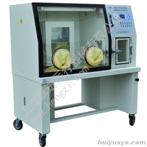 跃进 HENGZI HYQX-Ⅱ 厌氧培养箱