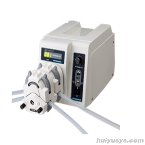 保定兰格蠕动泵WT600-2J+YZ2515X-A/C  2通道