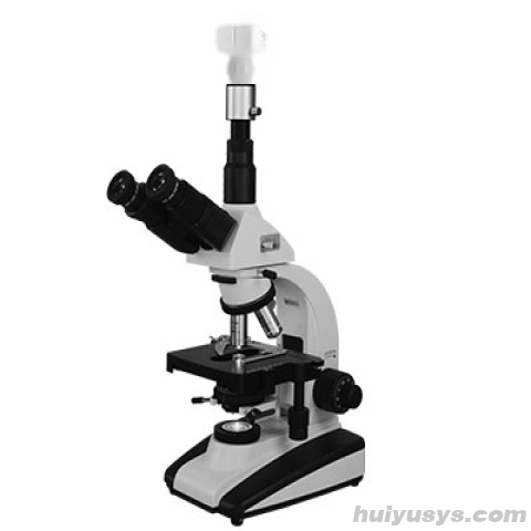 上海彼爱姆中药材检测仪（电脑型）BM-YC10D