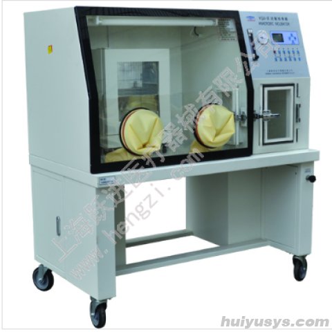 跃进 HENGZI HYQX-III 厌氧培养箱