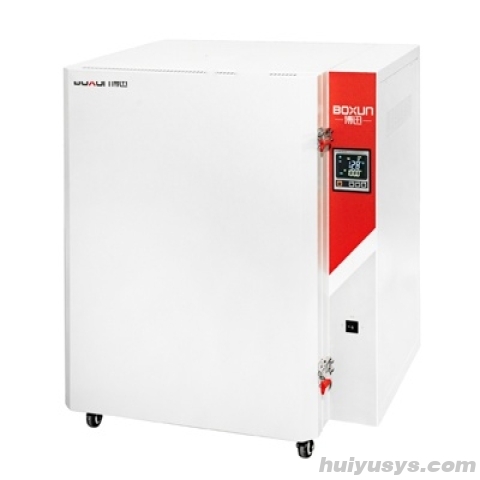 上海博迅高温鼓风干燥箱BGG-149