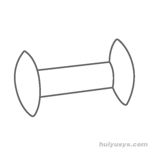 艾卡 IKA FLON 54 bone 骨形磁力搅拌子套装 (5 Pcs)，PTFE涂层