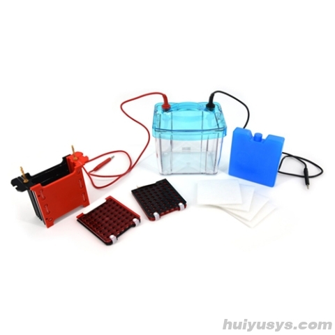 北京六一 DYCZ-40G 转印电泳仪电泳槽