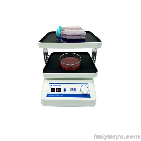 其林贝尔脱色摇床KB-2B