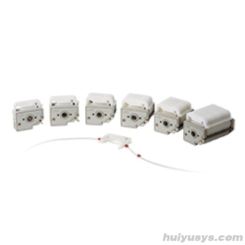 保定兰格蠕动泵泵头DG-8(6)