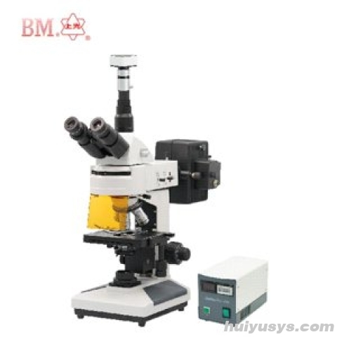 上海彼爱姆 XSP-BM-13CYIID 三目落射荧光显微镜