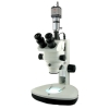 上海彼爱姆 XTL-BM-9TC 电脑连续变倍体视视显微镜