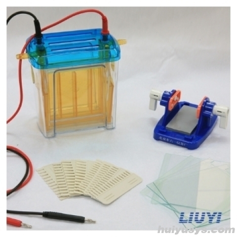 北京六一 DYCZ-24EN 双垂直电泳仪