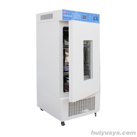 稳定性培养实验箱 MJP-80 霉菌培养箱 80L