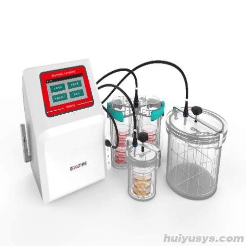 上海博迅 Boxun BXYG-02 厌氧培养系统