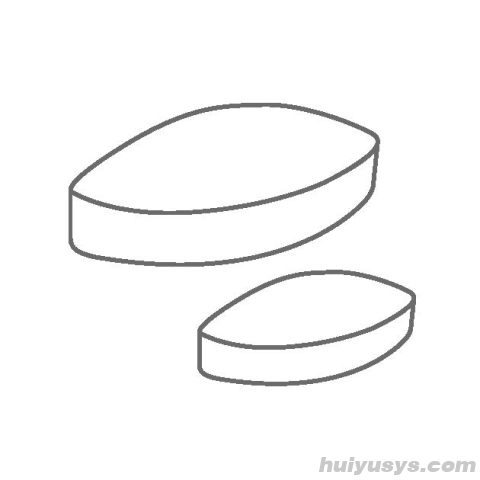 艾卡 IKA FLON 35 ellipse 椭圆形磁力搅拌子套装 (5 Pcs)，PTFE涂层