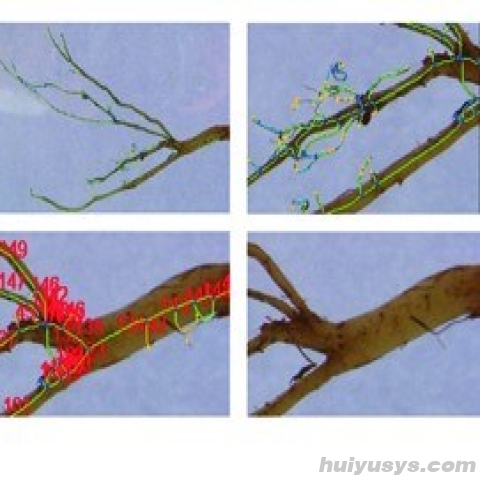 托普云农 GXY-A 植物根系分析仪