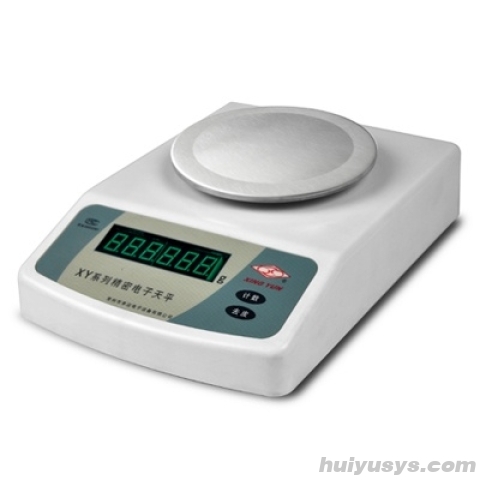 常州幸运精密电子天平XY100C