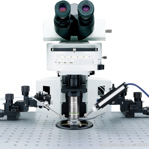 奥林巴斯膜片钳正置显微镜BX51WI