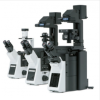 奥林巴斯 OLYMPUS IX53 生物显微镜
