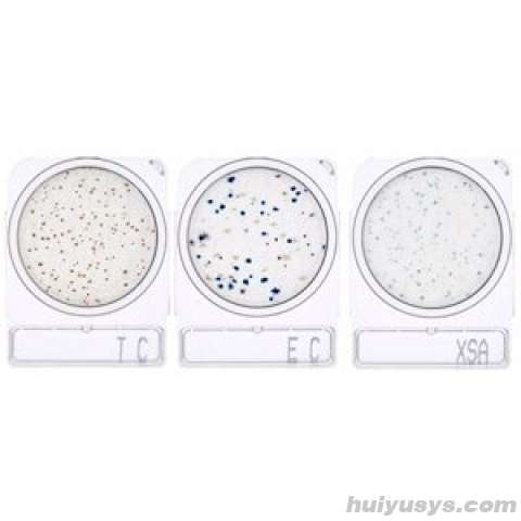岛津仪器 Compact Dry 微生物显色培养片