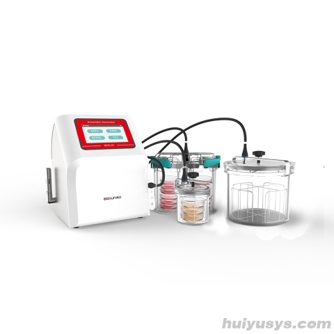 上海博迅 Boxun BXYG-04 厌氧培养系统