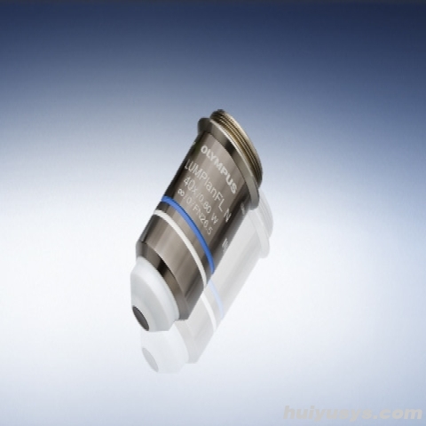 奥林巴斯长工作距离平场半复消色差水浸物镜LUMPLFLN40XW