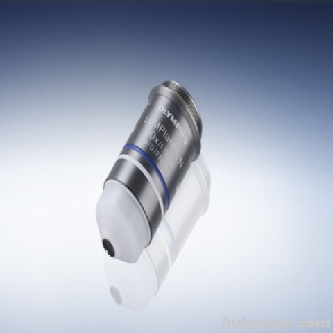 奥林巴斯长工作距离平场半复消色差水浸物镜LUMPLFLN60XW